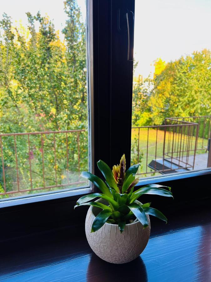 Penzion Villa Ancora Šumperk Kamer foto