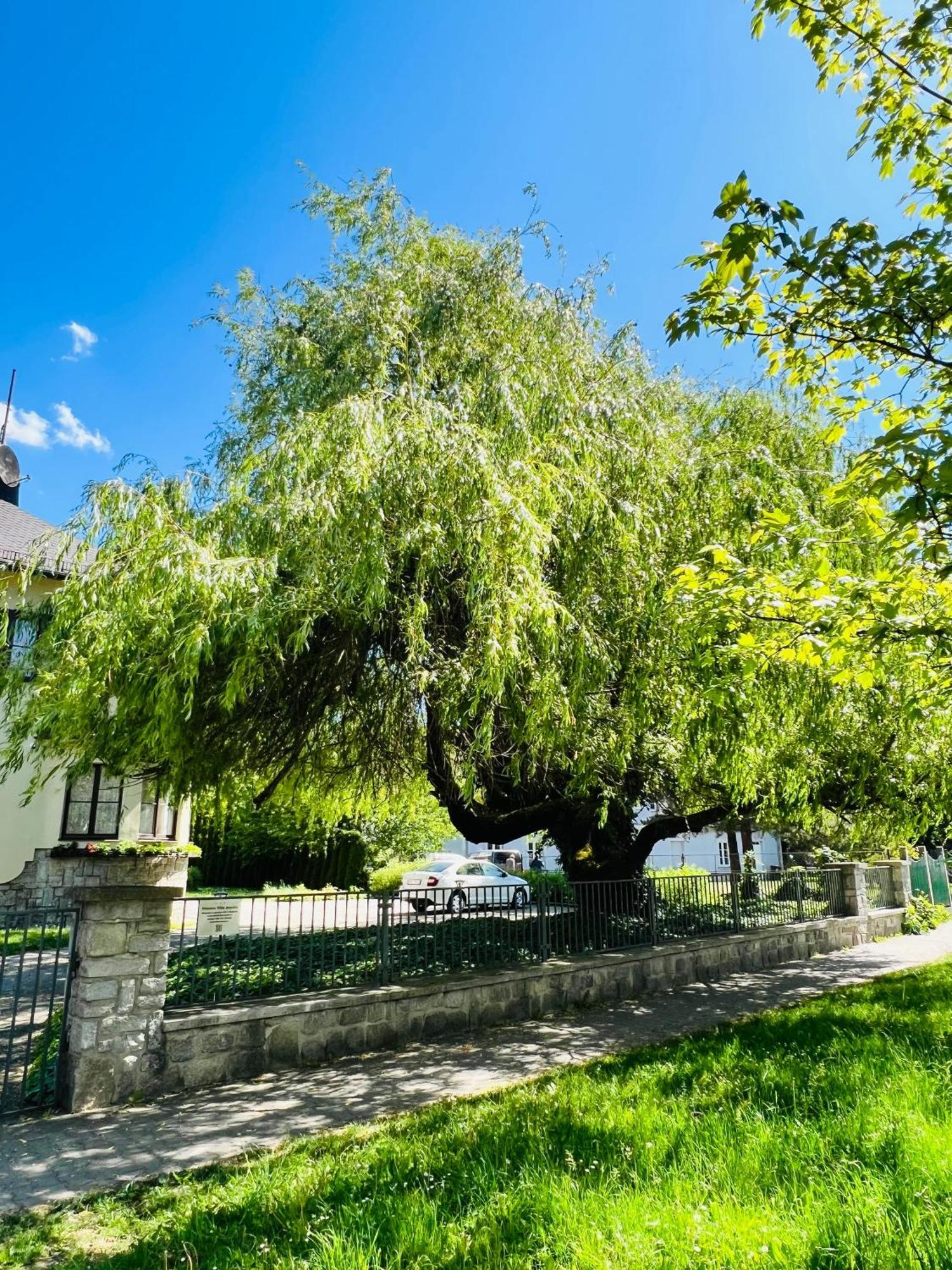 Penzion Villa Ancora Šumperk Buitenkant foto