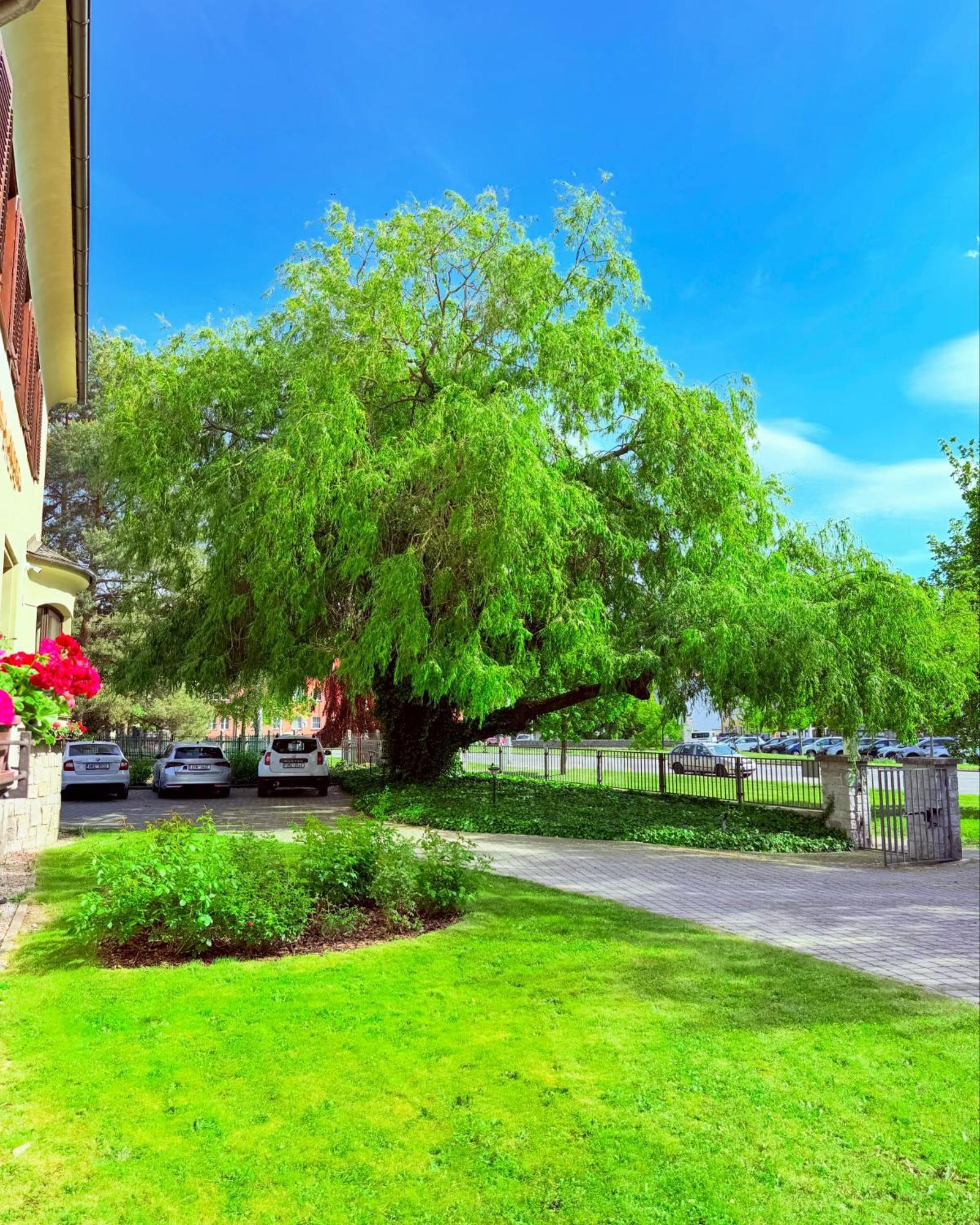Penzion Villa Ancora Šumperk Buitenkant foto